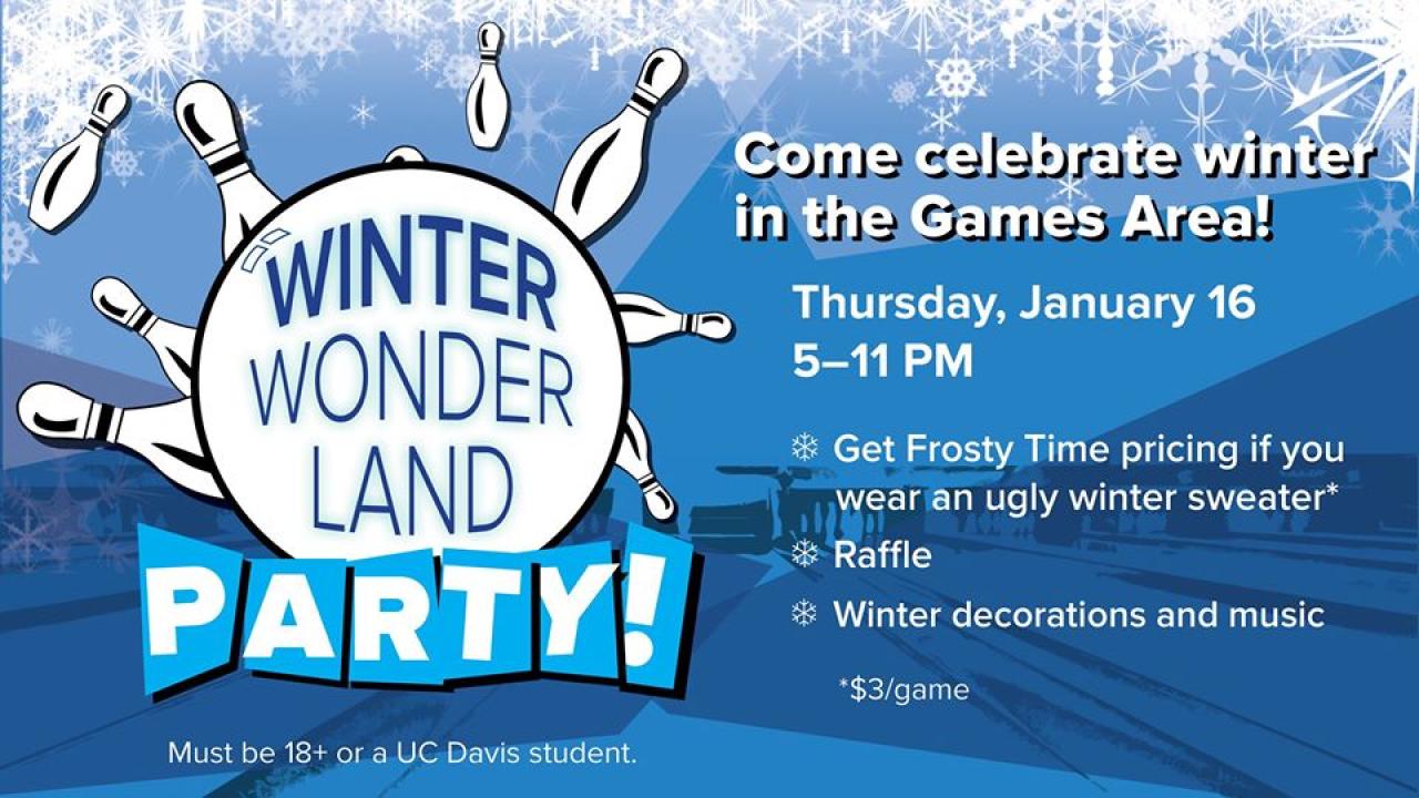 Winter wonderland flyer