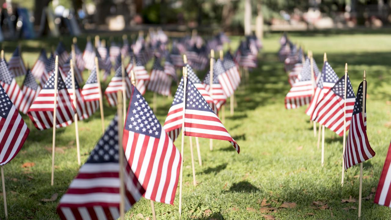 Small American flags on a lawn