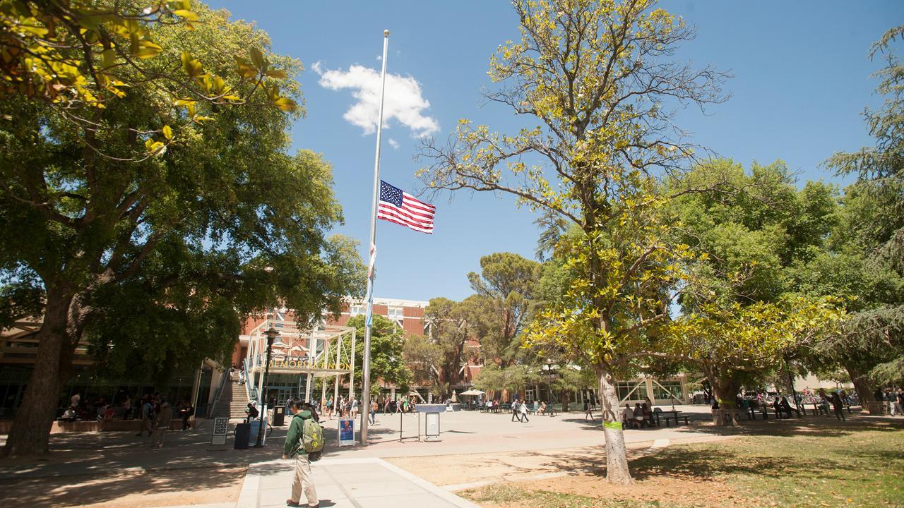 Flag half mast