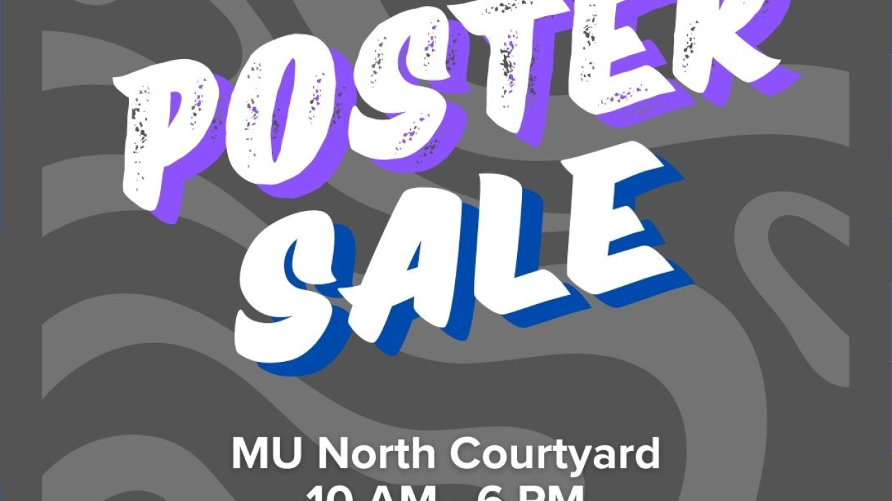 The words "Poster Sale" over a background of grey and dark grey wavy lines