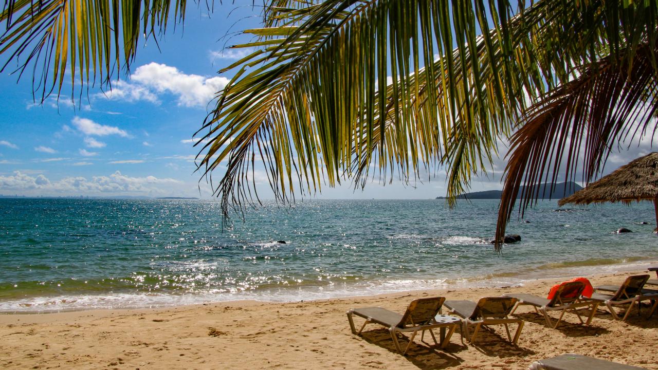 A tropical beach scene with lounge chairs on golden sand under the shade of palm fronds. The ocean sparkles under the bright sun, with small waves lapping the shore. A straw-thatched umbrella and a distant hilly coastline are visible in the background under a mostly clear blue sky