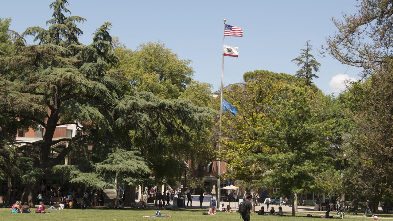 Image of flagpole on UC Davis quad with United States and California state flag at full-staff and University of California flag at half-staff.