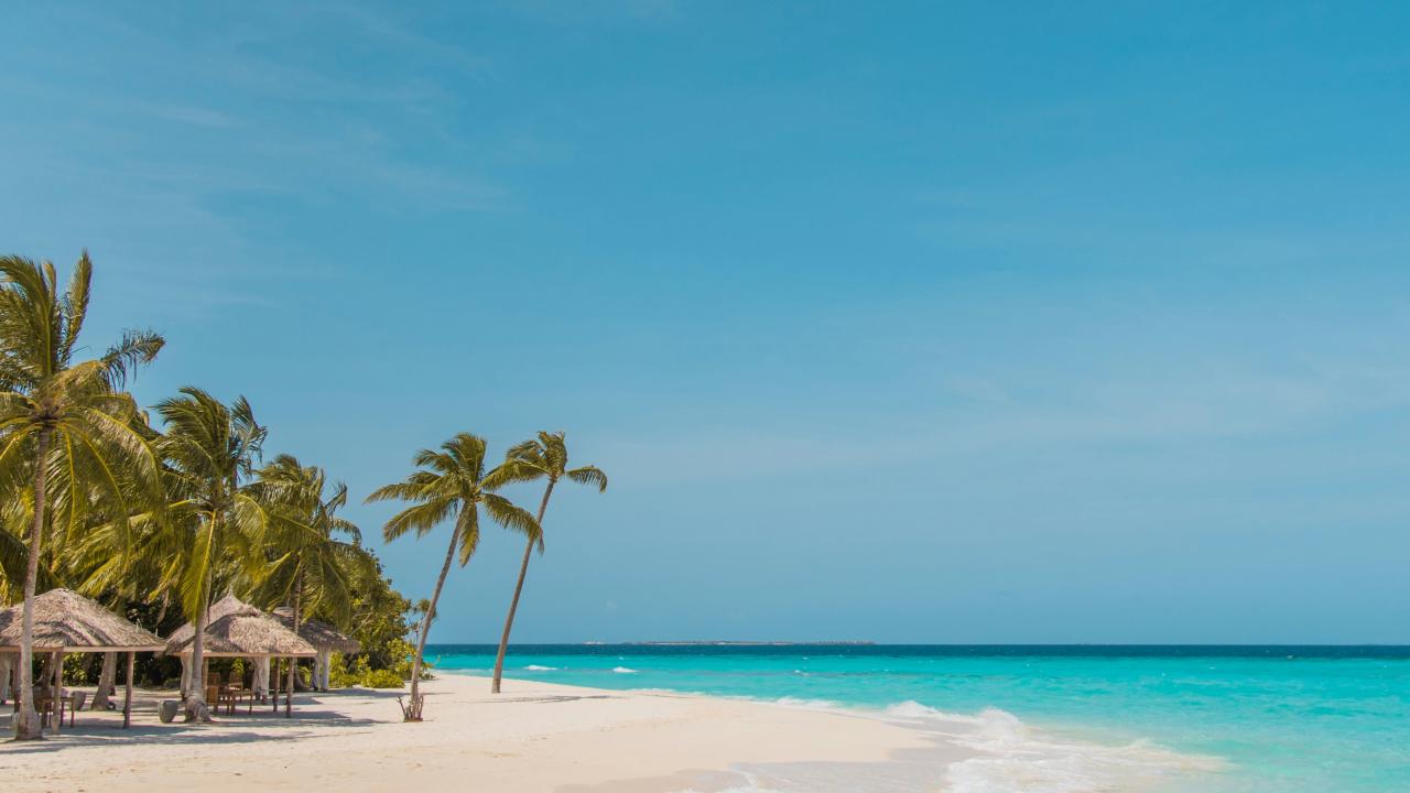 A tropical beach with clear turquoise water gently washing onto soft white sand. Palm trees and thatched-roof huts line the shore under a bright blue sky. The scene is calm, sunny, and idyllic, evoking a relaxing island paradise.