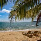 A tropical beach scene with lounge chairs on golden sand under the shade of palm fronds. The ocean sparkles under the bright sun, with small waves lapping the shore. A straw-thatched umbrella and a distant hilly coastline are visible in the background under a mostly clear blue sky