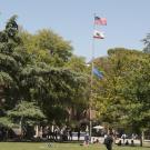 Image of flagpole on UC Davis quad with United States and California state flag at full-staff and University of California flag at half-staff.