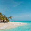 A tropical beach with clear turquoise water gently washing onto soft white sand. Palm trees and thatched-roof huts line the shore under a bright blue sky. The scene is calm, sunny, and idyllic, evoking a relaxing island paradise.