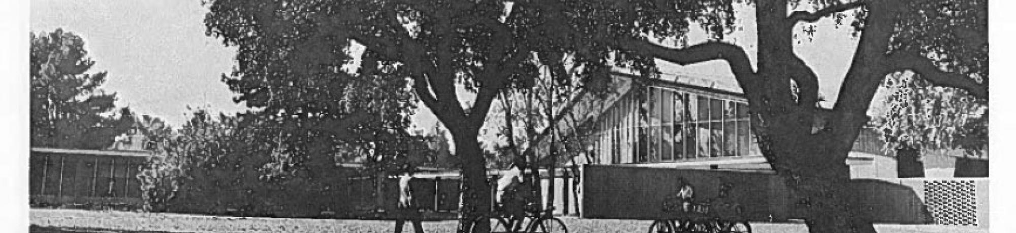 Freeborn Plaza