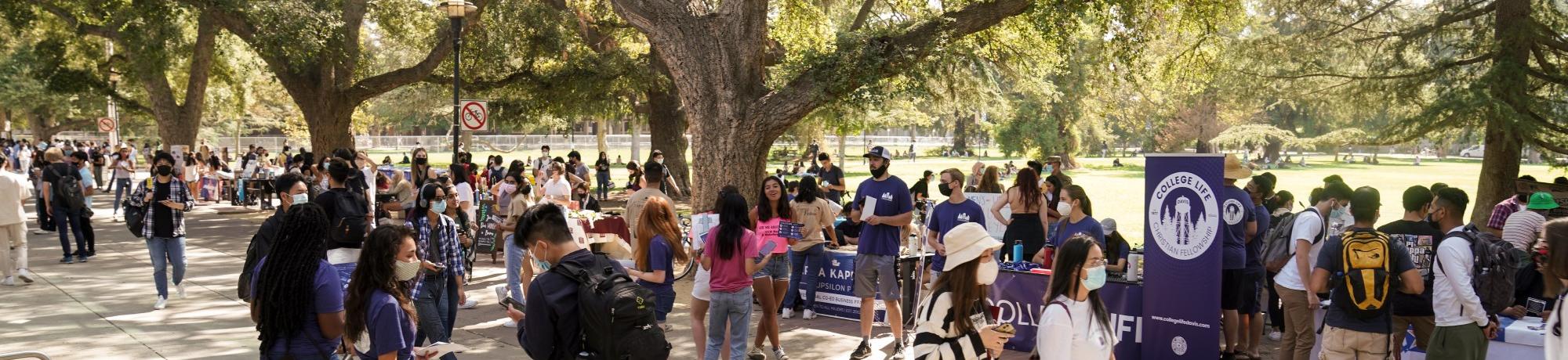 Students quad tabling